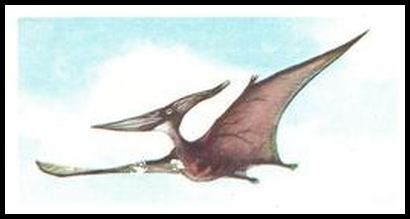 72BBPA 28 Pteranodon.jpg